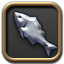FSH job filter button